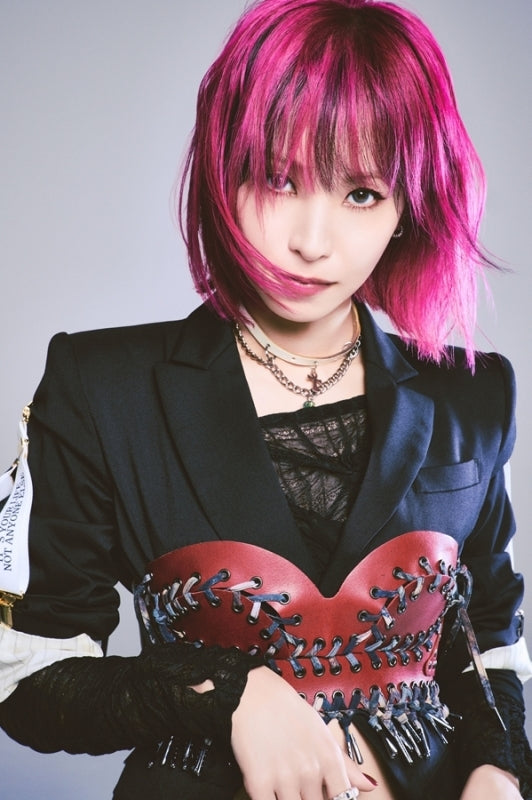 (Book - Photo Book) LiSA 15th Anniversary Book PRiSM